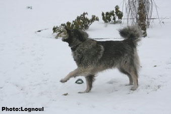 Femka 4 years