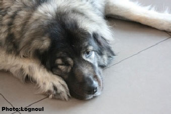 Femka 5 years