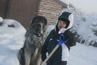 Femka 5 years