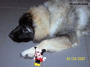 Fetich 5 months