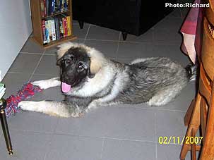 Fetich 6 months