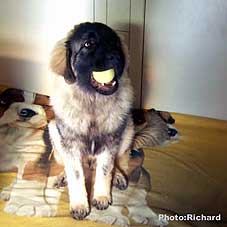 Fetich 5.5 months