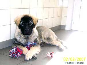 Fetich 5.5 months
