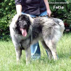 Fetich 10 months