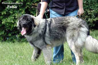 Fetich 10 months