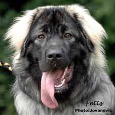 Fetich 10 months