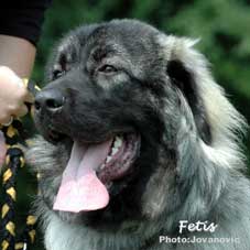 Fetich 10 months