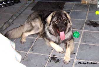 Fetich 1 year