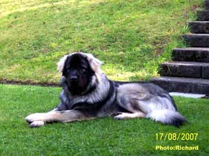 Fetich 1 year