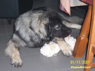 Fetich 17 months