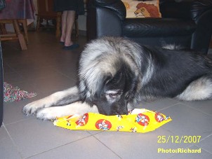 Fetich 17 months