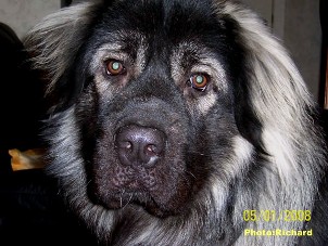 Fetich 17 months