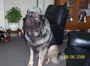 Fetich 21 months