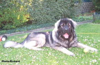 Fetich 21 months