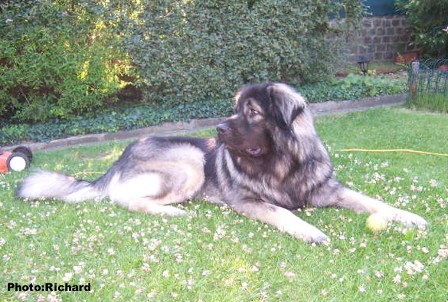 Fetich 21 months