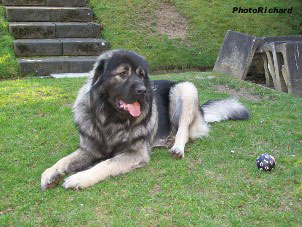 Fetich 2,5 years