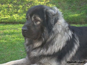 Fetich 2,5 yearss