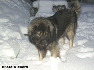 Fetich 3 years