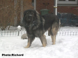 Fetich 3 years