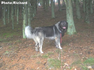 Fetich 4,5 years