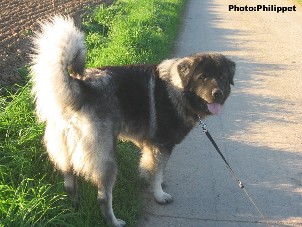 Furko 14 months