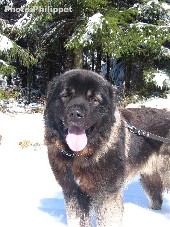 Furko 19 months