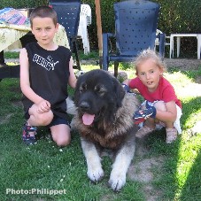 Furko 23 months