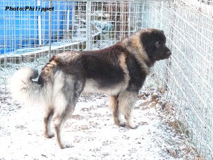 Furko 2,5 years