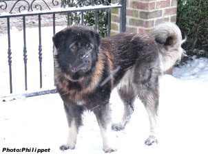 Furko 2,5 years