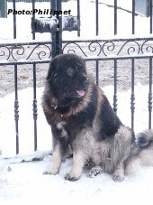 Furko 2,5 years