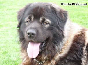 Furko 2,5 years