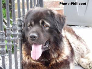 Furko 2,5 years