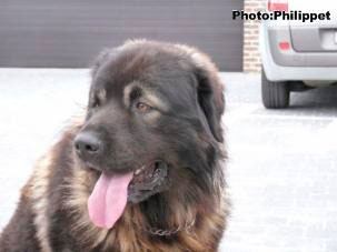 Furko 2,5 years