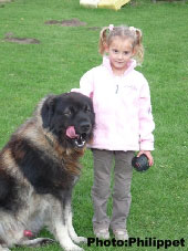 Furko 3 years