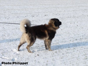 Furko 3,5 years