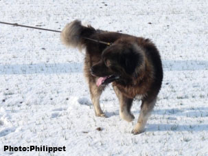 Furko 3,5 years