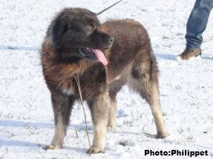 Furko 3,5 years