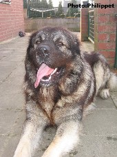 Fury 19 months