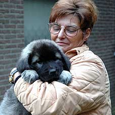 Fury 2 months