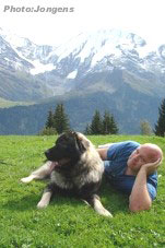 sarplaninac Goranac 13 months