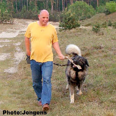 sarplaninac Goranac 33 months