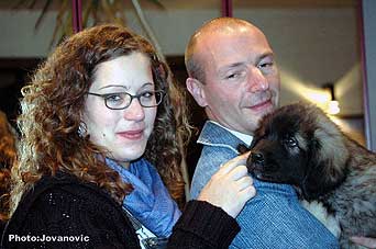 sarplaninac Gordan 9 weeks
