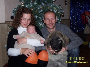 sarplaninac Gordan 4,5 months
