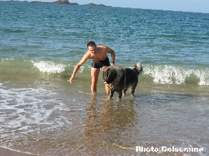 Sarplaninac Gorstak 26 months