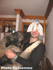 Sarplaninac Gorstak 2,5 years