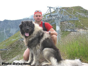 Sarplaninac Gorstak 3 years