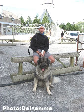 Sarplaninac Gorstak 4 years