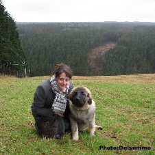 sarplaninac Gorstak 5 months