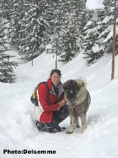 sarplaninac Gorstak 7 months