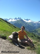 sarplaninac Gorstak 11 months